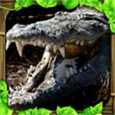 鳄鱼模拟器安卓免费版