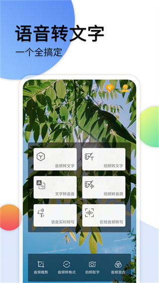 音频转文字助手图2
