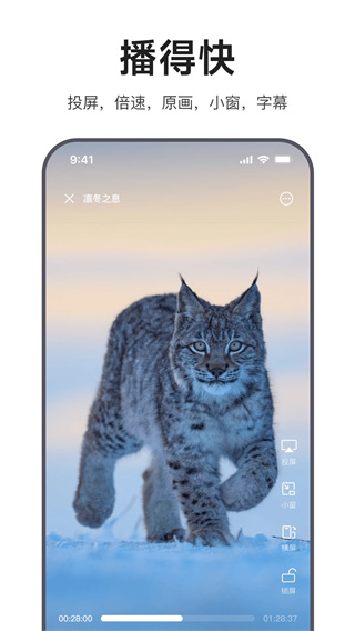 迅雷浏览器