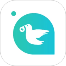 千城万影 v1.0.7