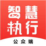 智慧执行