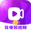 花夜安卓版