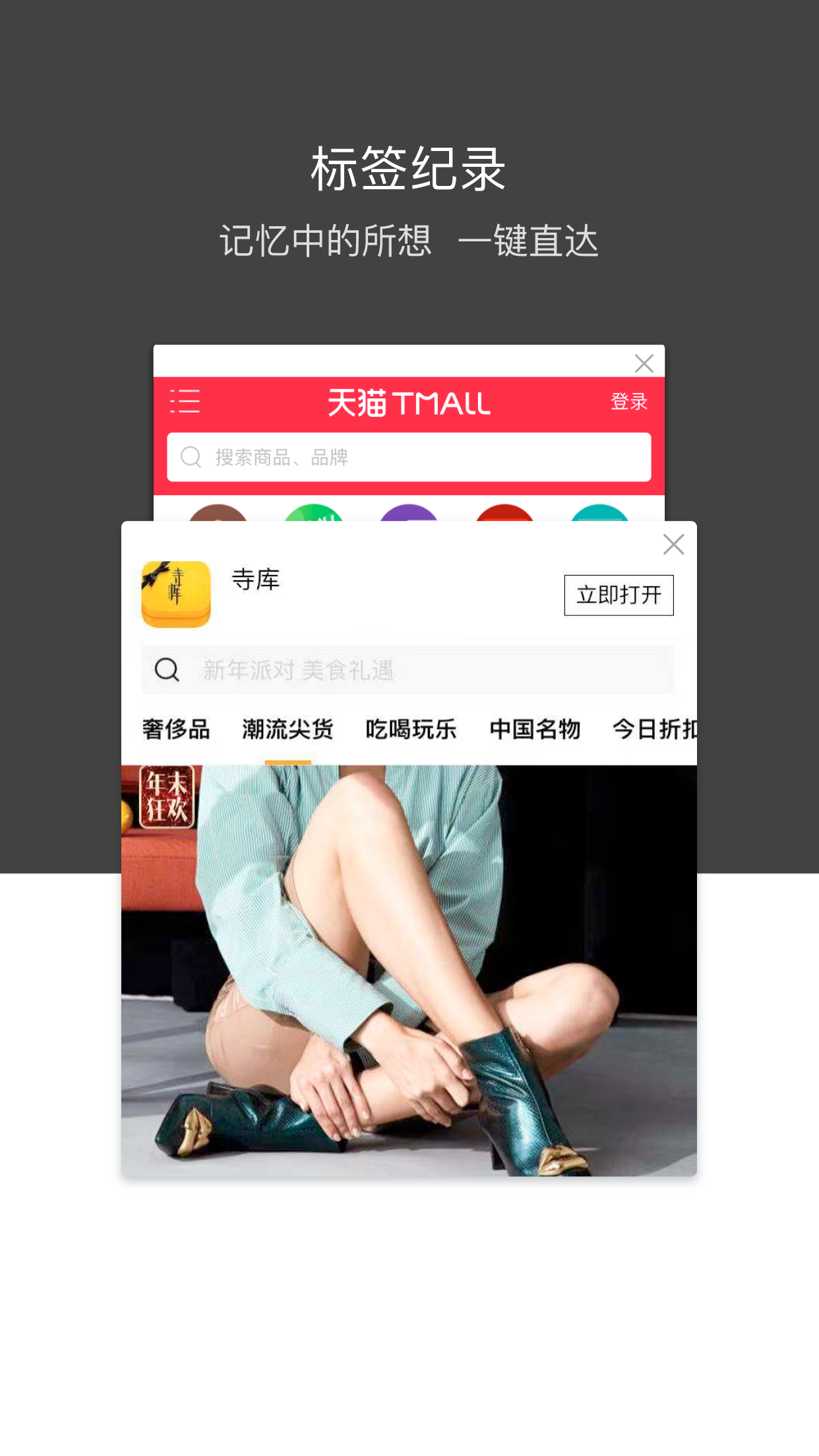 绿叶浏览器官方正版