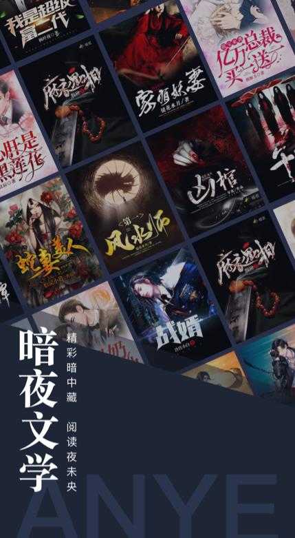 暗夜tv图3