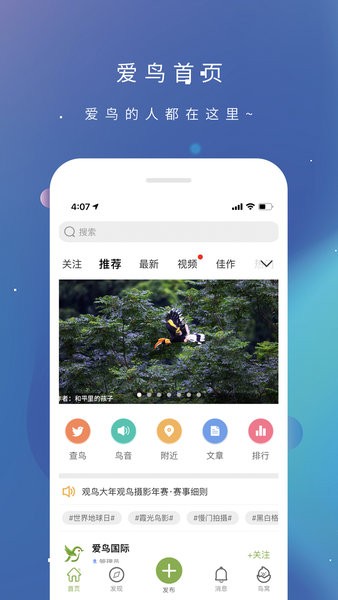 爱鸟国际最新免费版图1