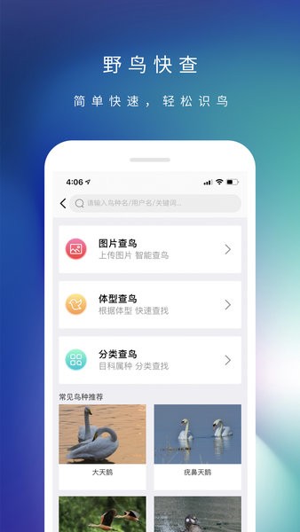 爱鸟国际最新免费版图2