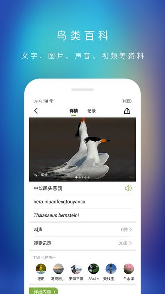 爱鸟国际最新免费版图4