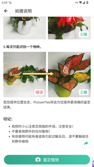 picturethis图3