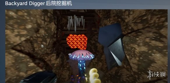 《后院挖掘者》这部作品的英文名称相关说明