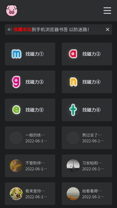 磁力猪图2