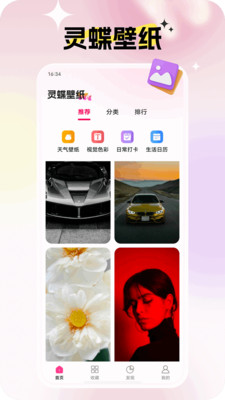 灵蝶壁纸截图1
