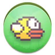 fly bird