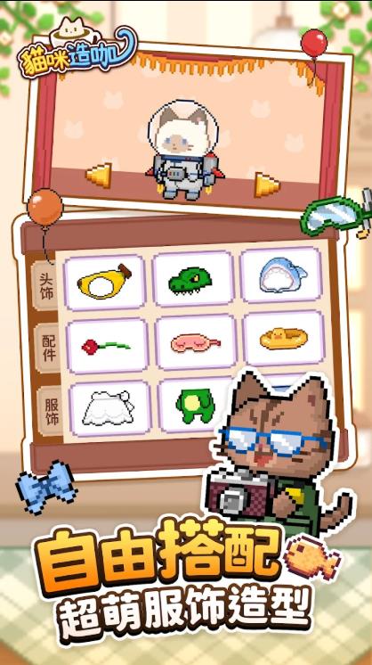 猫咪造咖图1