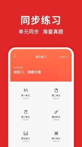 题拍拍安卓版图3