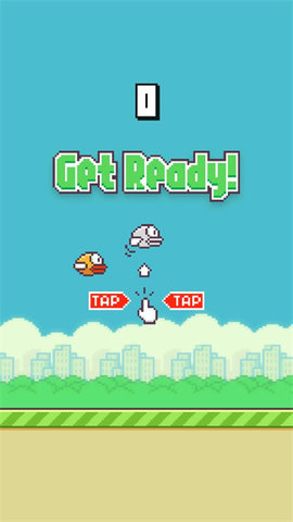 fly bird(2)