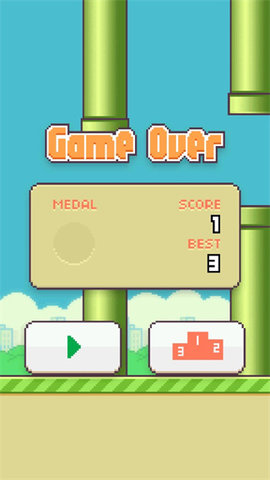fly bird(4)