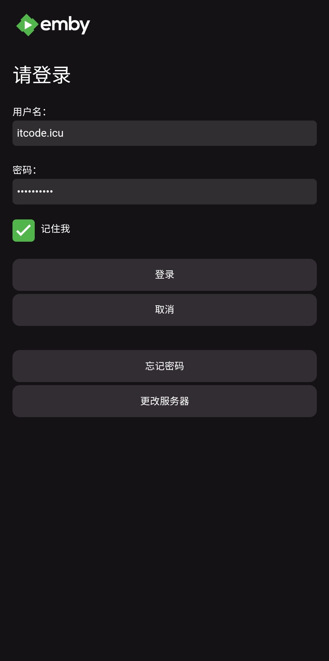 Emby图3