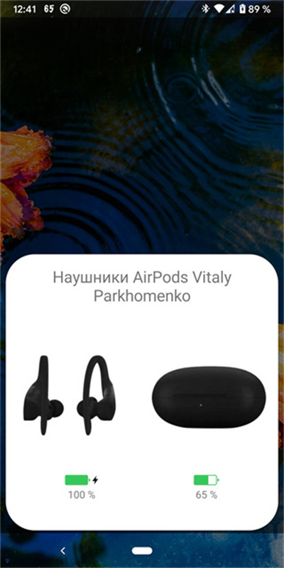 andropods图1