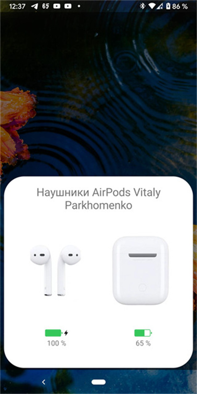 andropods图4