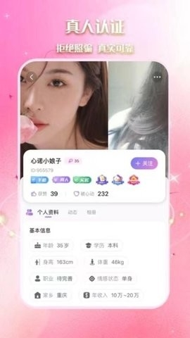 青鸟图2