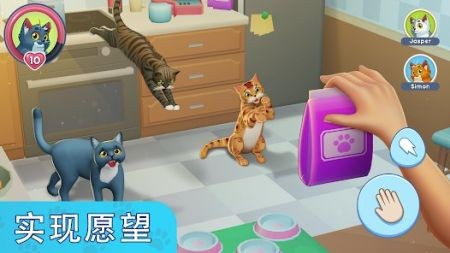 我的宠物猫模拟器图2