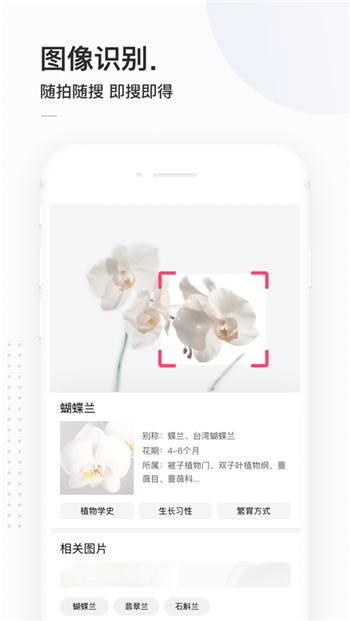 简单搜索(2)