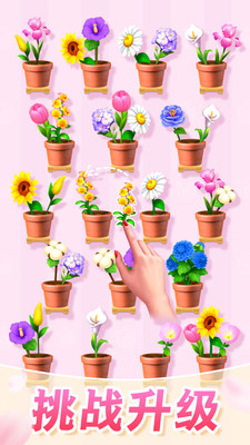 插花消除免广告版(2)