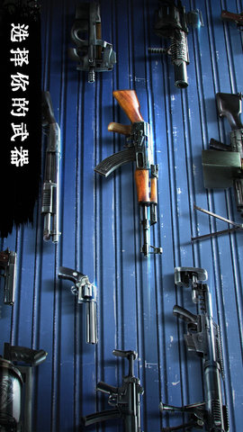 丧尸危机(10)