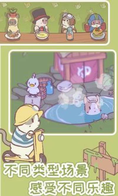 猫咪物语-图2