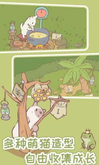 猫咪物语-图4