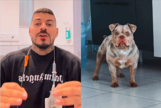 男子睡梦中遭爱犬咬掉一根脚趾，却选择了原谅它。