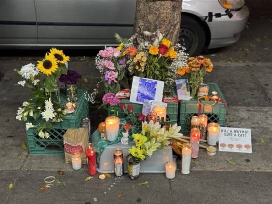 因致网红猫死亡谷歌旗下Waymo公司卷入公关风波