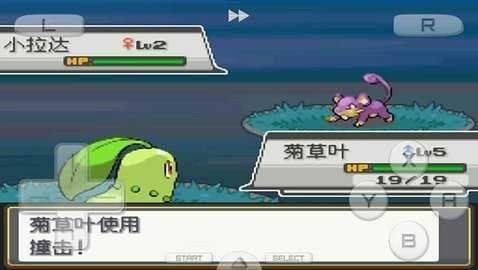 口袋妖怪心金魂银图4