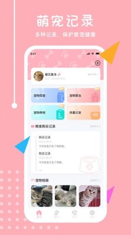 喵语翻译器(1)