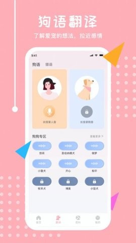 喵语翻译器(3)