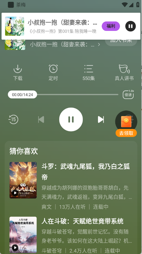 茶梅图5
