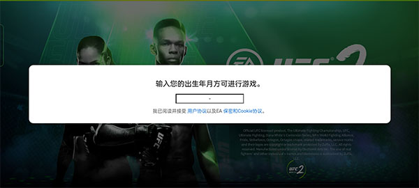 UFC终极格斗冠军2