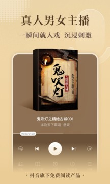 番茄小说老版