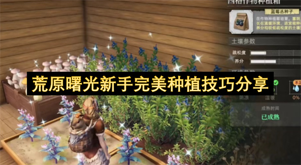 荒原曙光新手种植全攻略：轻松掌握完美技巧