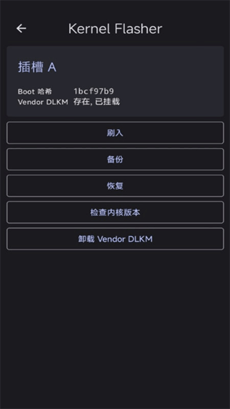 Kernel Flasher图4