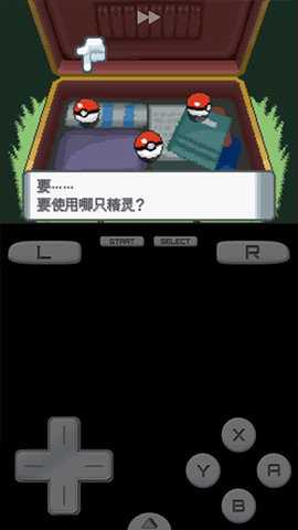 口袋妖怪珍珠nds版(3)