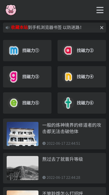 BT磁力猪免费版
