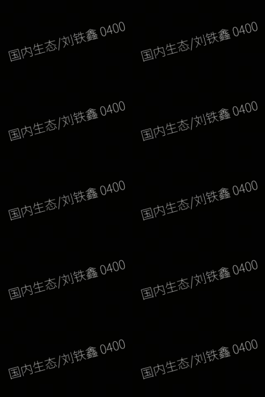 从被喷上热搜到被夸“真香”？《二重螺旋》是怎么让玩家欲罢不能的？