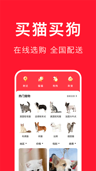 宠物宝图3