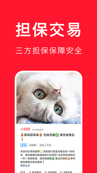宠物宝图1