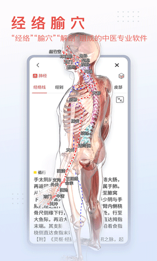 3dbody解剖软件图5