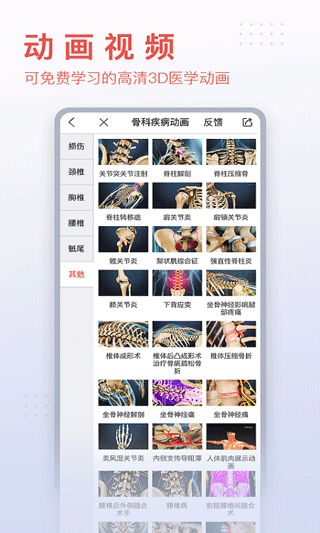 3dbody解剖软件图4