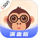 CSDN 
