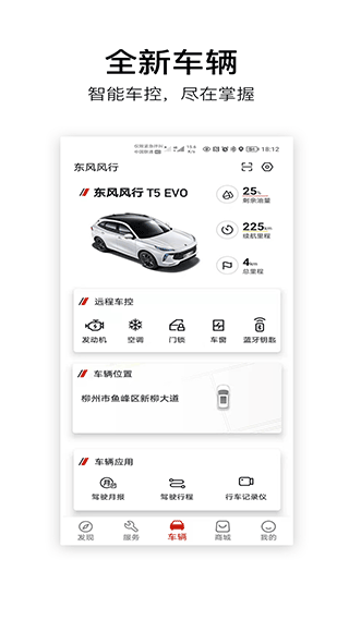 东风风行(5)