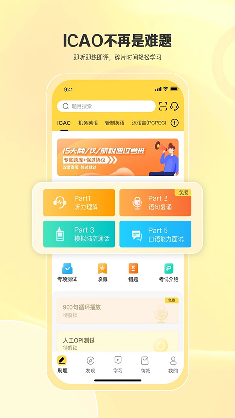 飞行之翼(4)